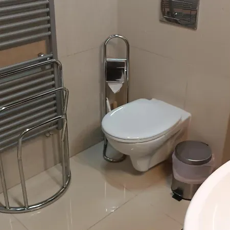 I 306 * فيلكا لومنيكا